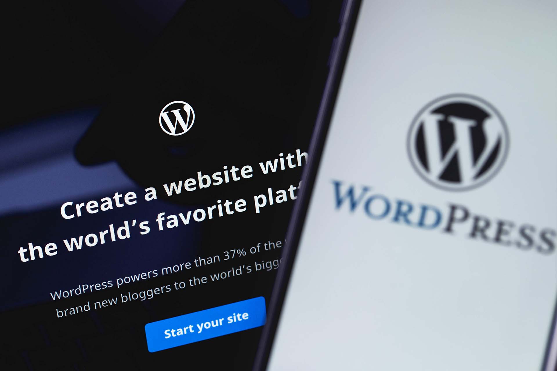 wordpress logo on computer screen